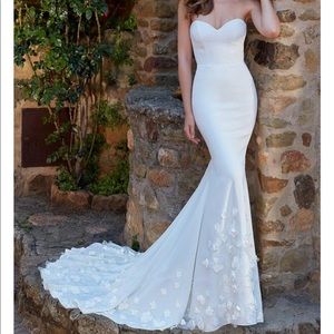 Kelly Faetanini wedding dress